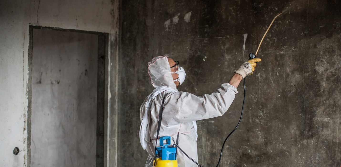 Schimmel verwijderen